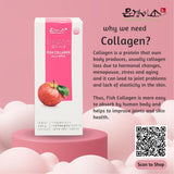 MGMISO Korea Fish Collagen Jelly Apple (20gx10)