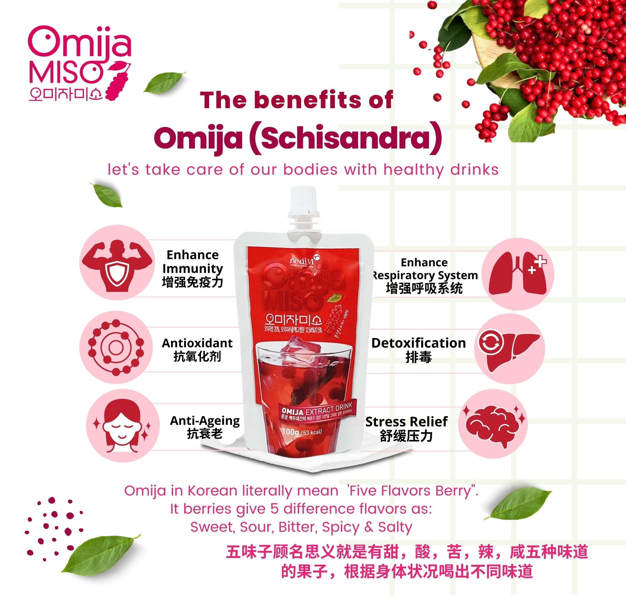 MGMISO Omija Concentrate 500ml