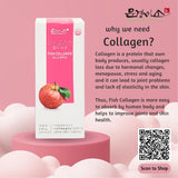 MGMISO Fish Collagen Jelly Apple (20gx10) x18